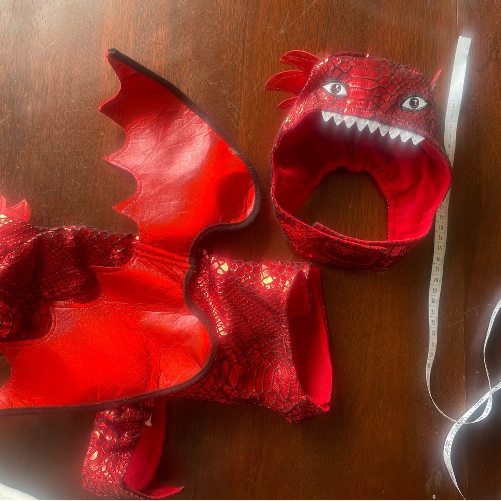 Red Dragon Kids Costume